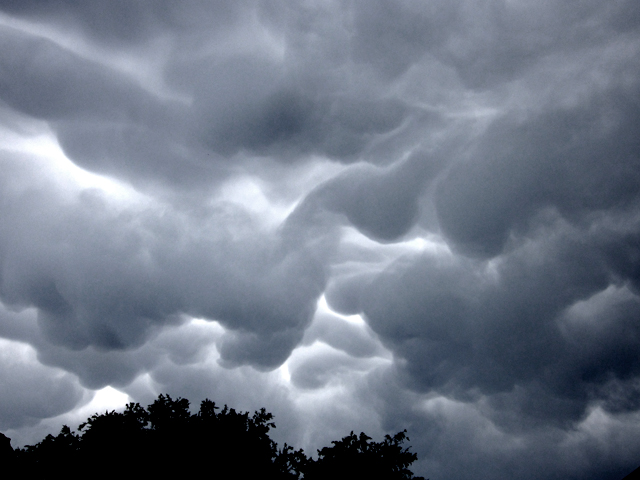 sydney no-show storm